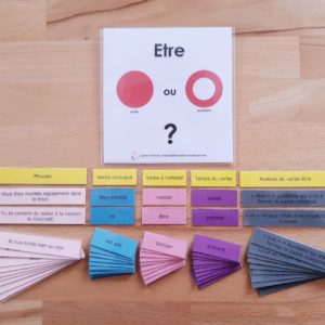 être et avoir: verbes ou auxiliaires ?