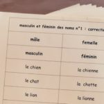 Masculin et féminin des noms ; étiquettes de manipulation Montessori ; grammaire Montessori ; flexions du nom