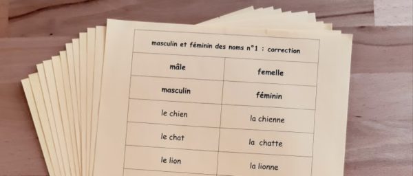 Masculin et féminin des noms ; étiquettes de manipulation Montessori ; grammaire Montessori ; flexions du nom