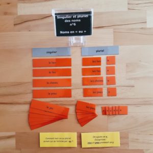 Singulier et pluriel des noms ; étiquettes de manipulation Montessori ; grammaire Montessori ; flexions du nom