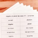 Singulier et pluriel des noms ; étiquettes de manipulation Montessori ; grammaire Montessori ; flexions du nom