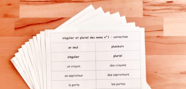 Singulier et pluriel des noms ; étiquettes de manipulation Montessori ; grammaire Montessori ; flexions du nom