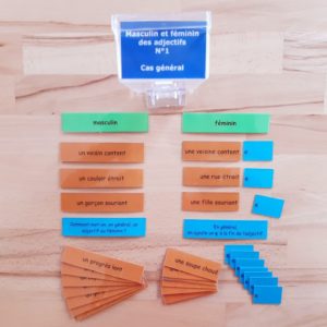 Masculin et féminin des adjectifs ; étiquettes de manipulation Montessori ; grammaire Montessori ; flexions de l'adjectif