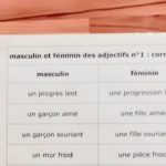 Masculin et féminin des adjectifs ; étiquettes de manipulation Montessori ; grammaire Montessori ; flexions de l'adjectif