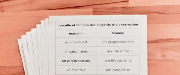 Masculin et féminin des adjectifs ; étiquettes de manipulation Montessori ; grammaire Montessori ; flexions de l'adjectif