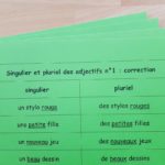 Singulier et pluriel des adjectifs ; étiquettes de manipulation Montessori ; grammaire Montessori ; flexions de l'adjectif