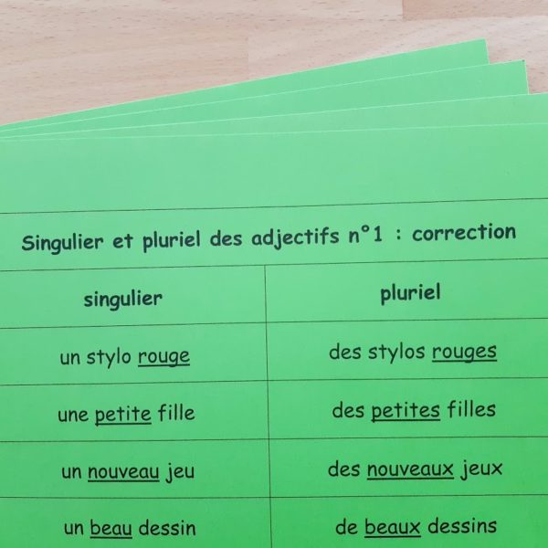 Singulier et pluriel des adjectifs ; étiquettes de manipulation Montessori ; grammaire Montessori ; flexions de l'adjectif