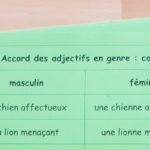Accord de l’adjectif avec le nom ; étiquettes de manipulation Montessori ; grammaire Montessori