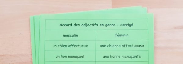 Accord de l’adjectif avec le nom ; étiquettes de manipulation Montessori ; grammaire Montessori