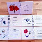 Nomenclatures de botanique Montessori 6-12 ans