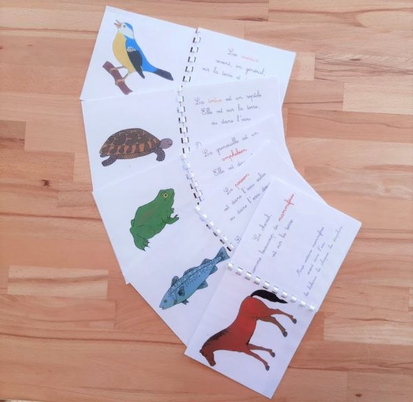 Livrets de zoologie Montessori 3-6 ans