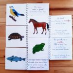 Livrets de zoologie Montessori 3-6 ans