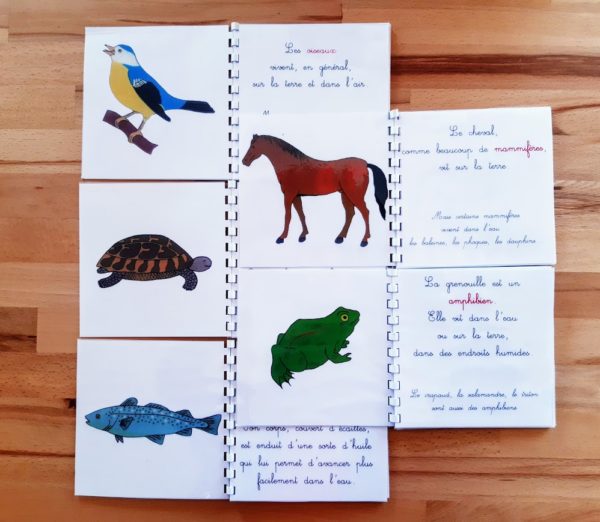 Livrets de zoologie Montessori 3-6 ans