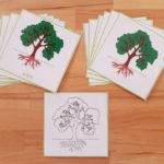 Nomenclatures botanique Montessori 3-6 ans