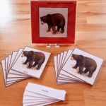 Images classifiées Montessori : les animaux