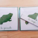 Nomenclatures zoologie Montessori 3-6 ans