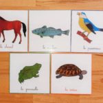 Nomenclatures zoologie Montessori 3-6 ans