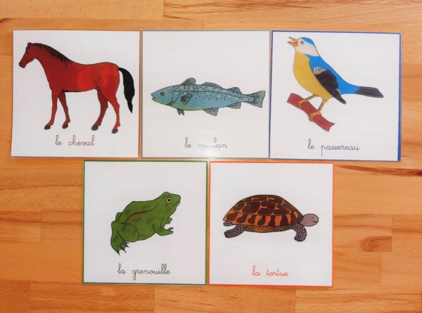 Nomenclatures zoologie Montessori 3-6 ans