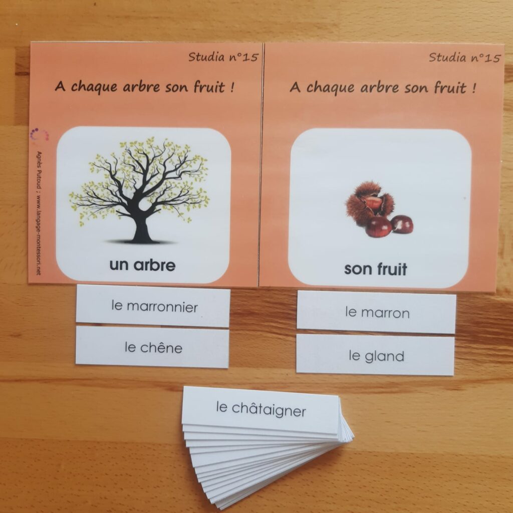 Fiches Studia revisitées